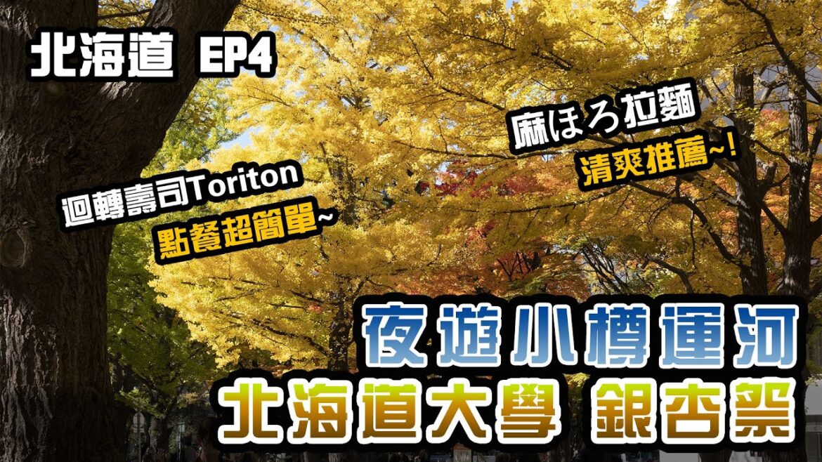 【北海道4】北大銀杏祭｜小樽運河、迴轉壽司Toriton、托里菲托飯店、麻ほろ拉麵｜日本旅遊