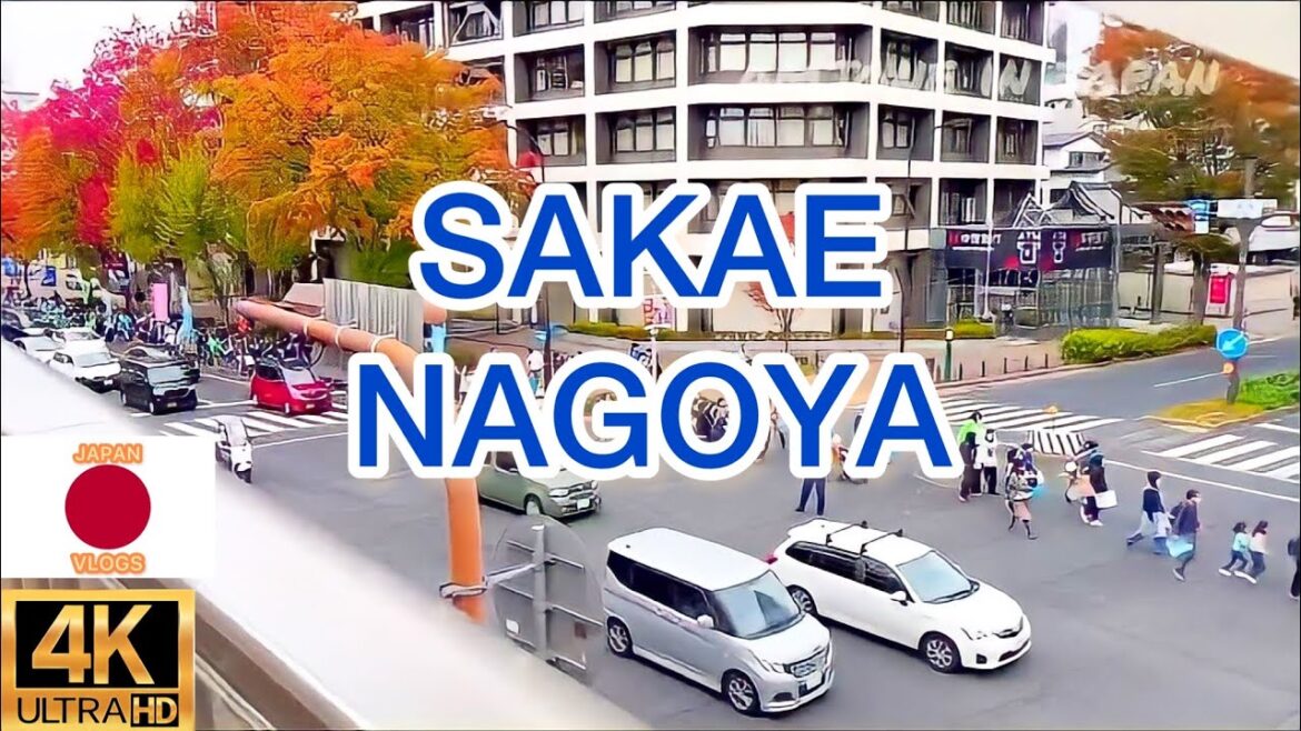 japan autumn walk sakae nagoya aichi 2022