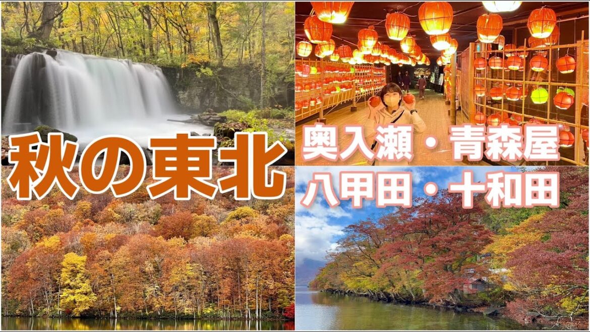 東北 青森 紅葉の名所(奥入瀬・十和田・八甲田)を巡る! 東北 青森 紅葉の名所(奥入瀬・十和田・八甲田)を巡る!