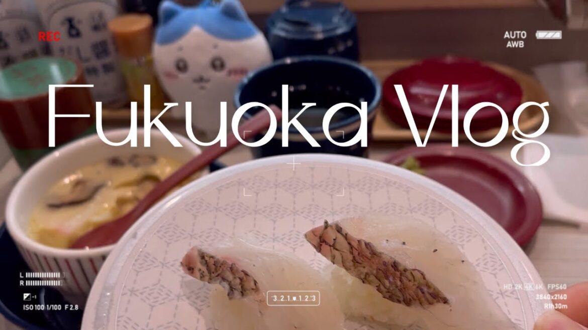 Fukuoka vlog | 나홀로 후쿠오카 여행 | 세미오타쿠(?)의 애니메이트 & 치이카와샵 방문기🤩✨ | 돈키호테 & 일본 마트 쇼핑