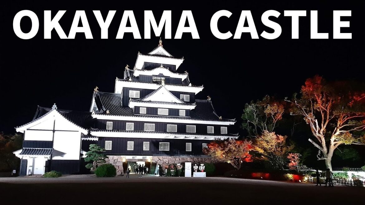 再建された岡山城とプロジェクションマッピングが素敵すぎる。