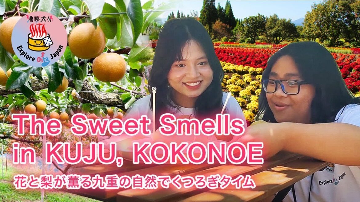 A Trip For the Heart and Palate! Relaxing in the Wilderness of Oita’s Kokonoe! 【Explore Oita Japan】