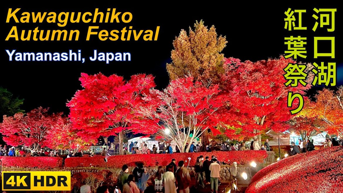 河口湖紅葉祭りKawaguchiko Autumn Festival, (Autumn Leaves Lightup) Yamanashi Japan. (4K HDR)(紅葉ライトアップ)紅葉まつり