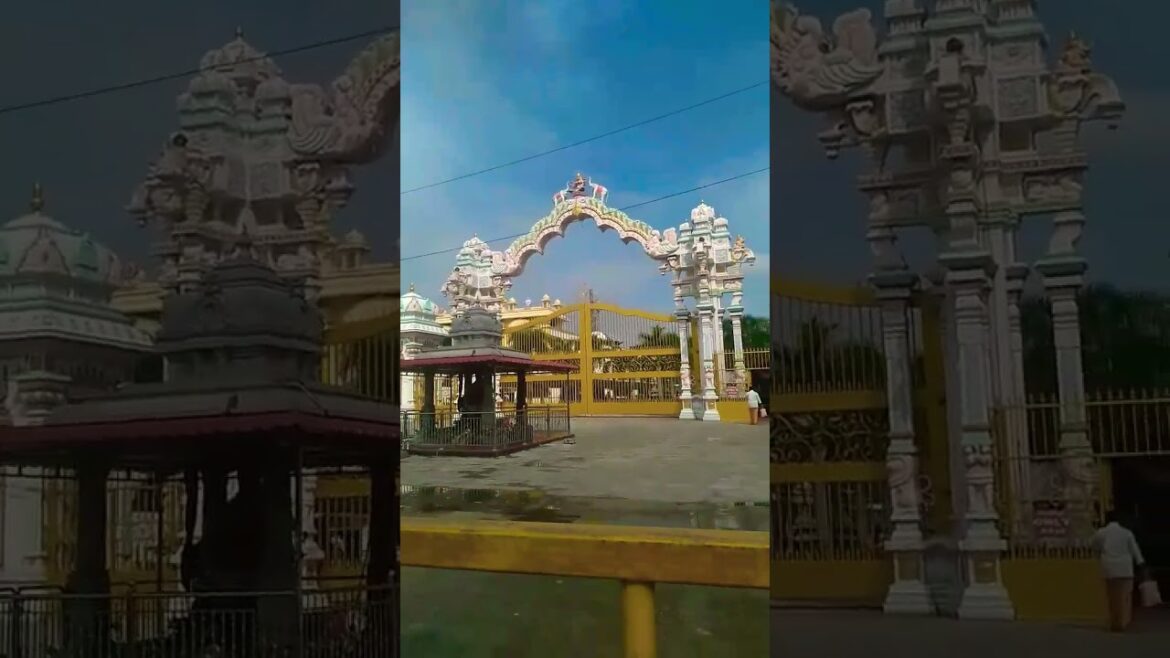 temples in vellore #shorts #short #shortvideo #viralvideo