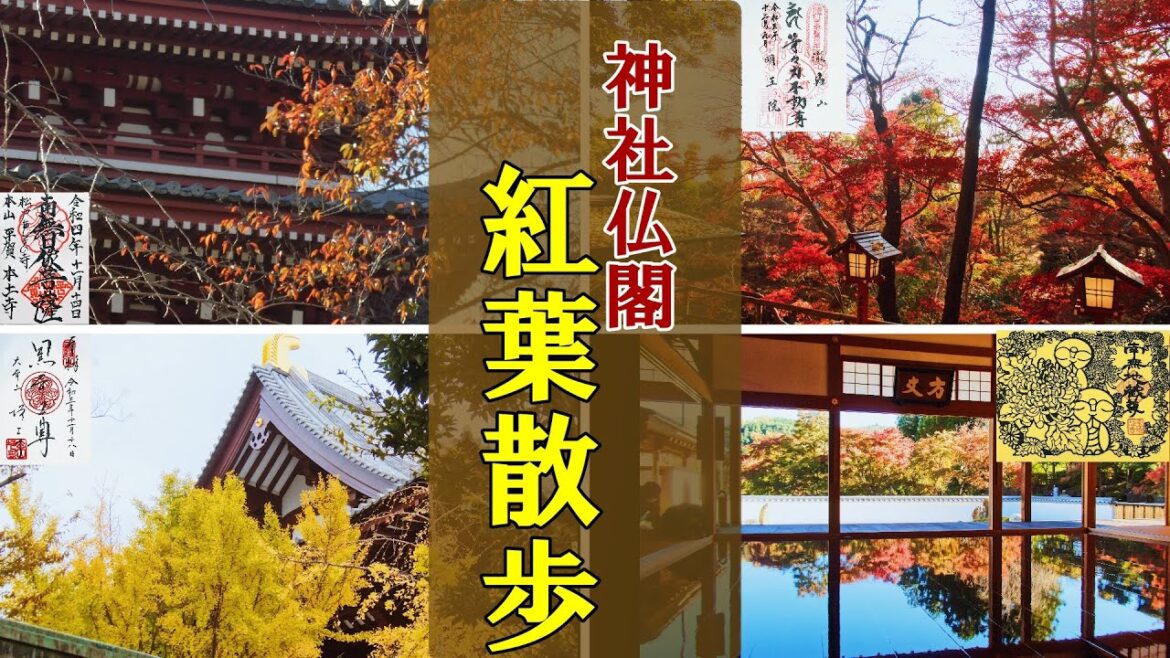 【御朱印ベスト】紅葉の神社仏閣と御朱印10選[日本の神社仏閣巡り旅]