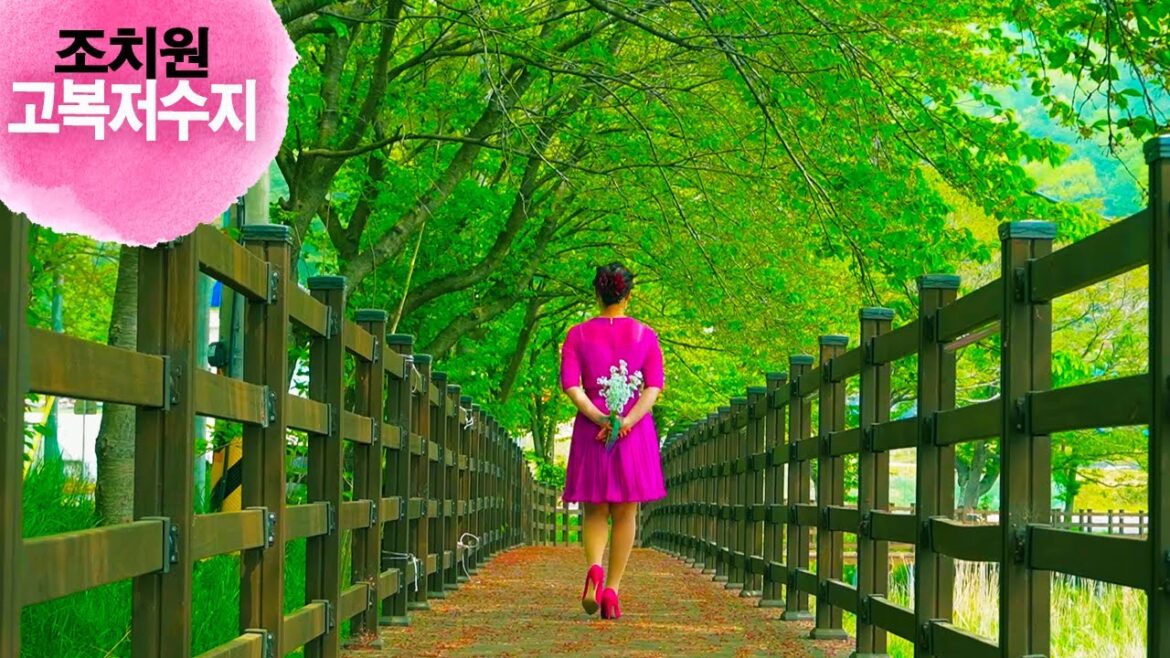 [신청영상 - 14] 조치원 고복저수지 풍경! (2번째 영상)