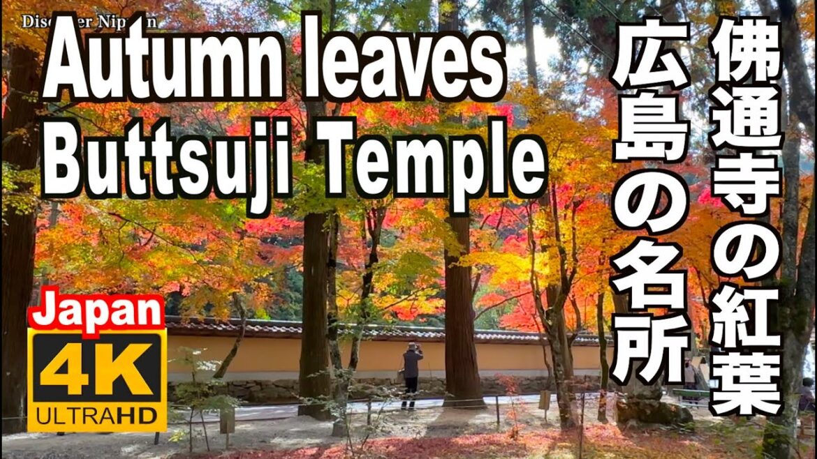 4K 佛通寺の紅葉(広島県)Autumn leaves of Buttsuji TempleHiroshima Trip 広島観光 広島の紅葉 紅葉の名所 日本の紅葉 広島の紅葉 4K 佛通寺の紅葉(広島県)Autumn leaves of Buttsuji TempleHiroshima Trip 広島観光 広島の紅葉 紅葉の名所 日本の紅葉 広島の紅葉