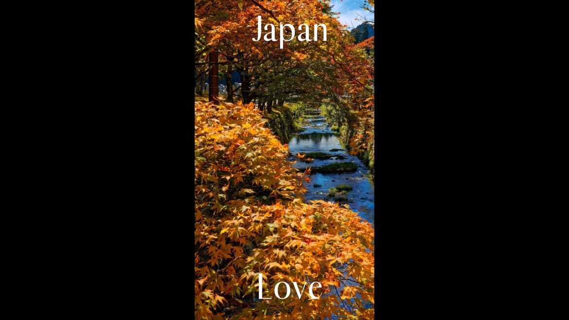 #shorts Travels to Mt. Koyasan in japan.  Main Camera: GFX100S, Lens: GF32-64mmF4, Video: GoPro10