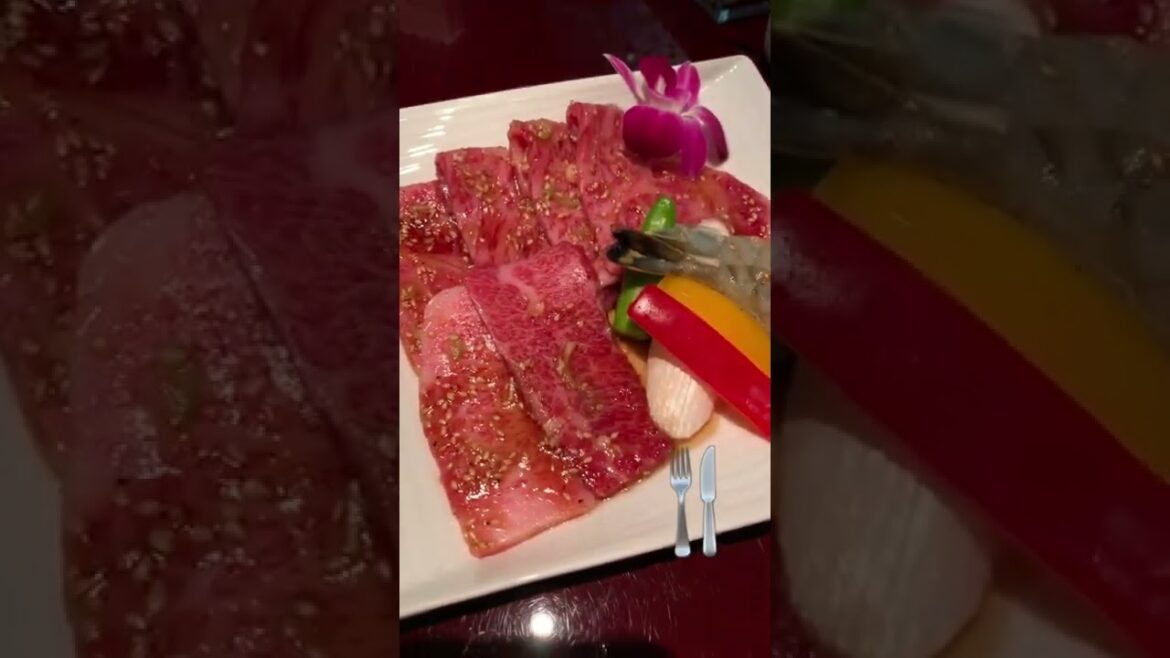 吳世康-敘敘苑燒肉『旅行』