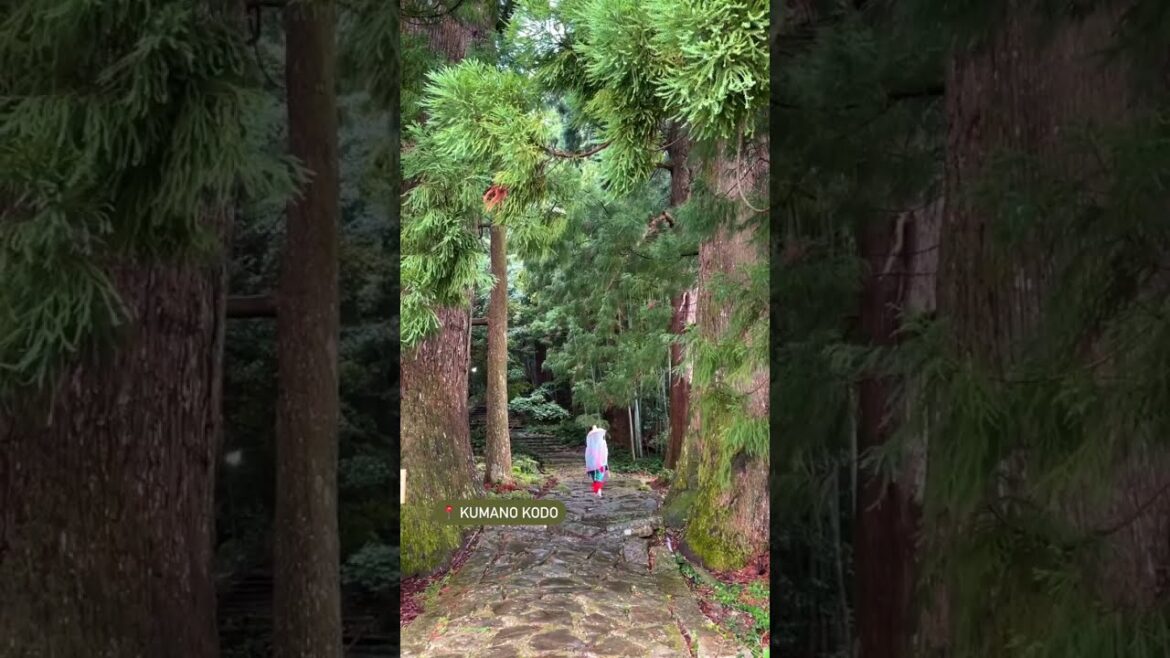 These Places in #Japan Feel Breathtakingly Surreal! ✨ Have you visited any of these spots?