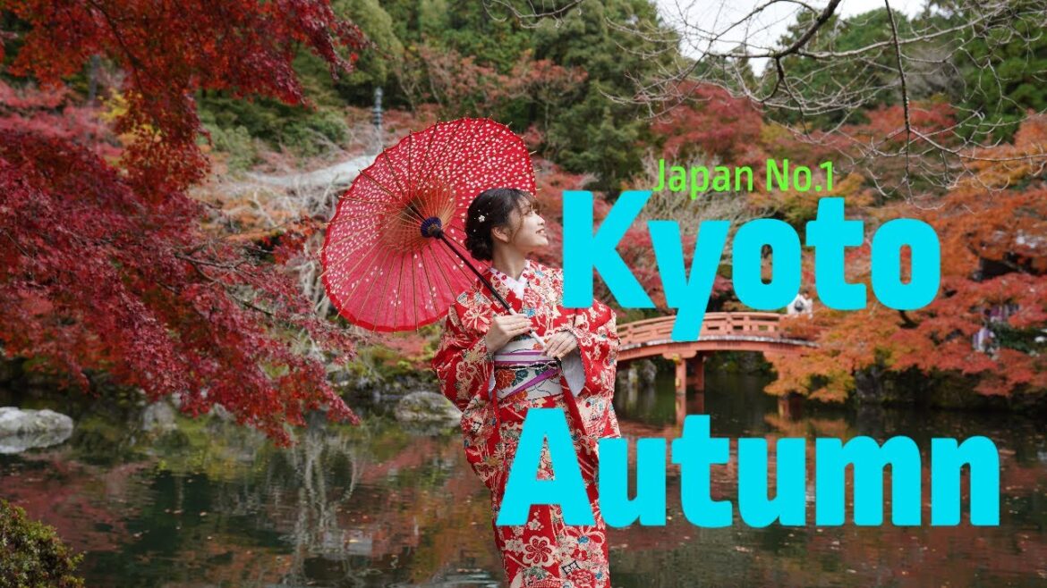 Most beauty full Japan Autumn. Most beauty full Japan Autumn.