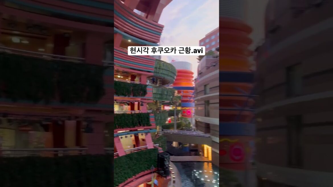 일본 후쿠오카 여행 필수 코스 ✈️ #shorts