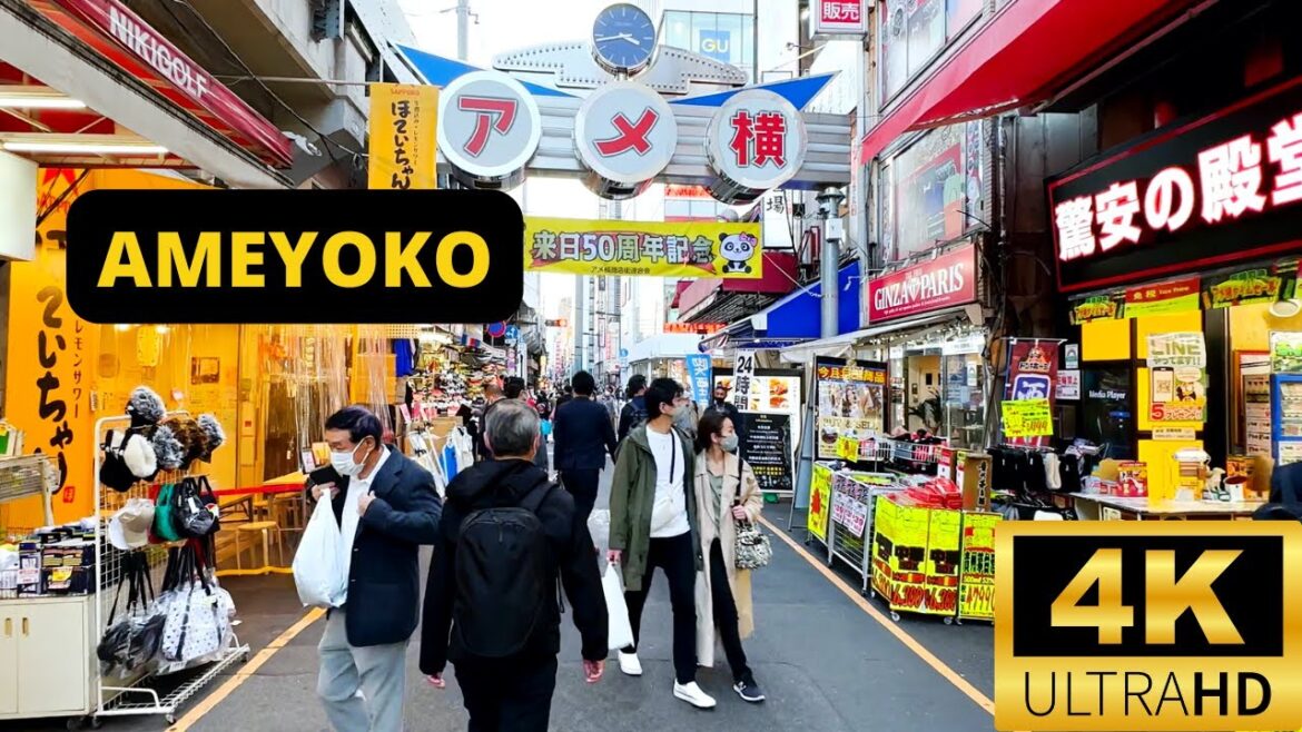 TOKYO, JAPAN 🇯🇵 [4K] Ueno Ameyoko — Walking Tour — NOVEMBER 2022
