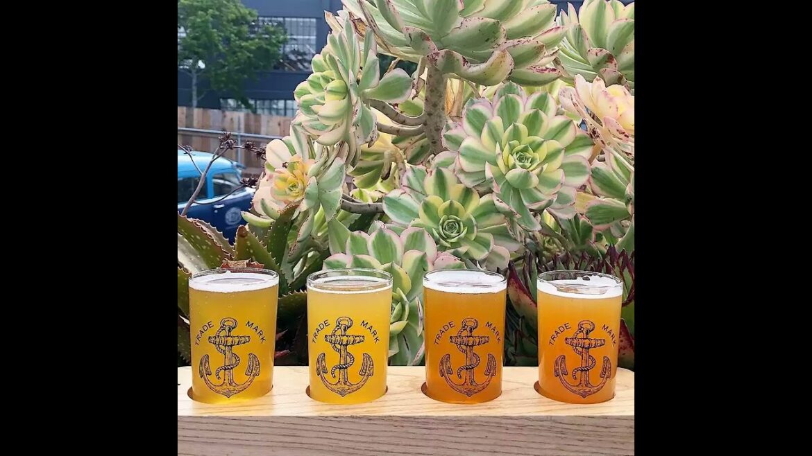 Anchor Brewing