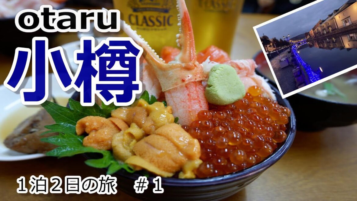 【北海道vlog】小樽の絶品グルメと街さんぽ［北海道の旅＃１］