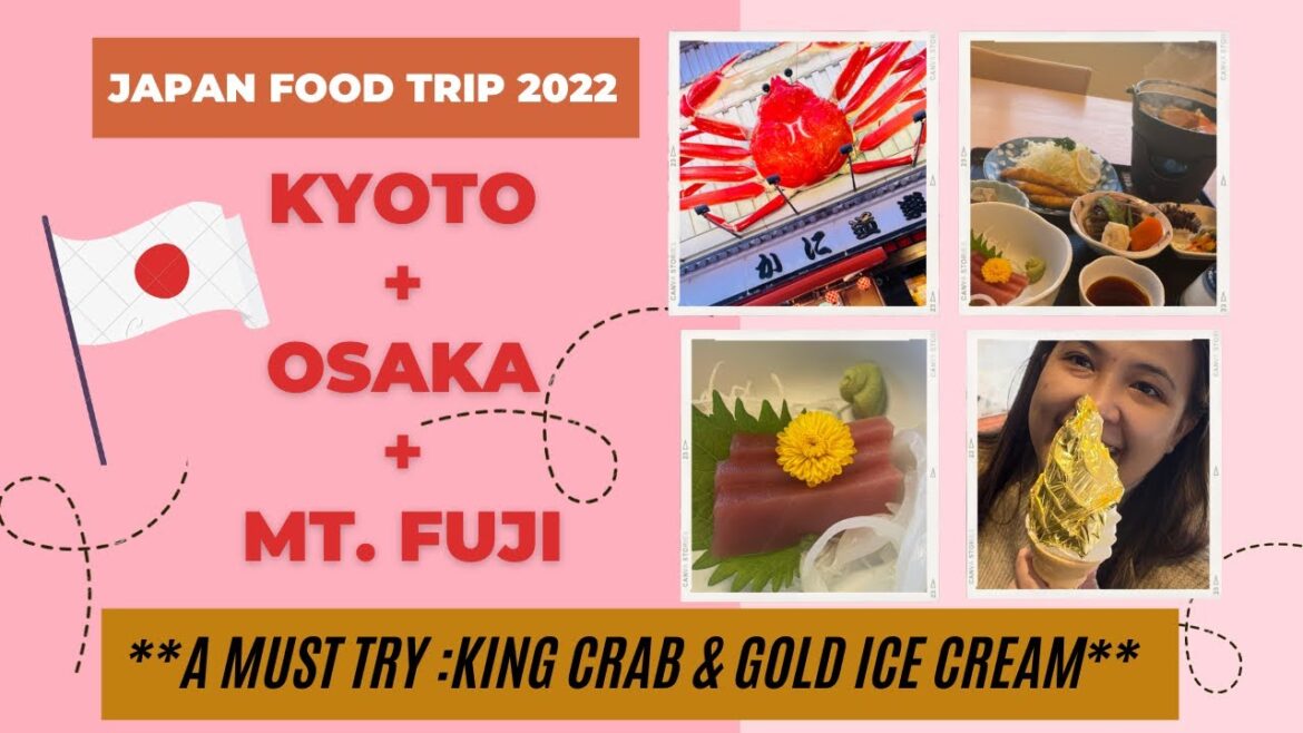 Food Trip in Japan 2022 ( Kyoto, Osaka & Mt. Fuji)| norlopez