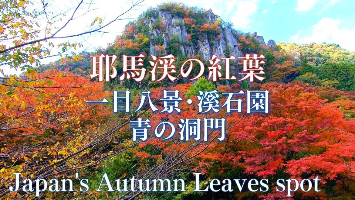 【九州紅葉の旅 Day1】Kyushu Autumn Trip/ 耶馬渓, 一目八景, 溪石園, 青の洞門, 佐田岬から佐賀関へ, 紅葉の名所, Yabakei, Autumn Leaves Spot