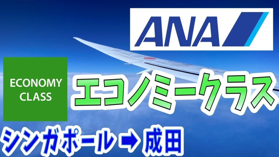 【ハワイ旅行記③】ANA国際線エコノミークラス!シンガポールから日本へとんぼ返り!コロナ禍のチャンギ空港で乗り継ぎ90分のタイトスケジュール!羽田からホノルルまで0泊2日4フライトの飛行機旅! 【ハワイ旅行記③】ANA国際線エコノミークラス!シンガポールから日本へとんぼ返り!コロナ禍のチャンギ空港で乗り継ぎ90分のタイトスケジュール!羽田からホノルルまで0泊2日4フライトの飛行機旅!