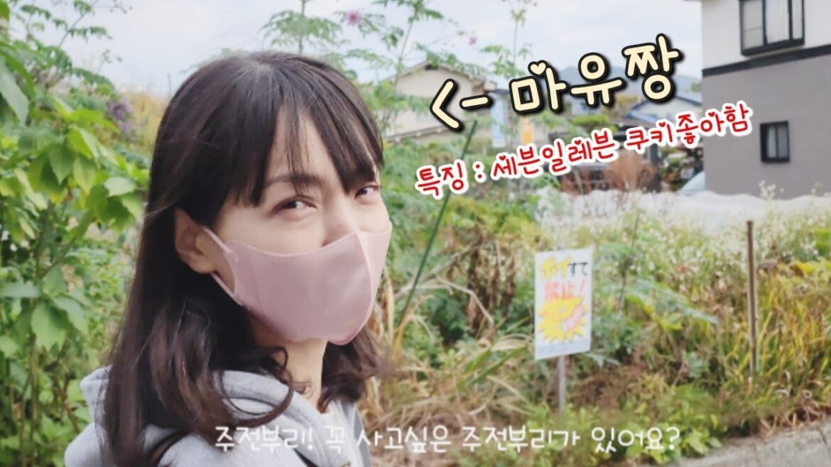 일본일상ㅣ외로운 타국생활이지만 이럴때는 행복한 일본생활 🇯🇵🇰🇷 🆕 일본일상ㅣ외로운 타국생활이지만 이럴때는 행복한 일본생활 🇯🇵🇰🇷 🆕