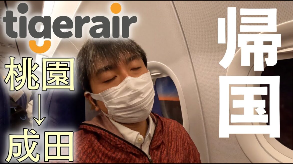 【タイガーエアで桃園→成田】台湾旅行最高でした🇹🇼また行きます❗️