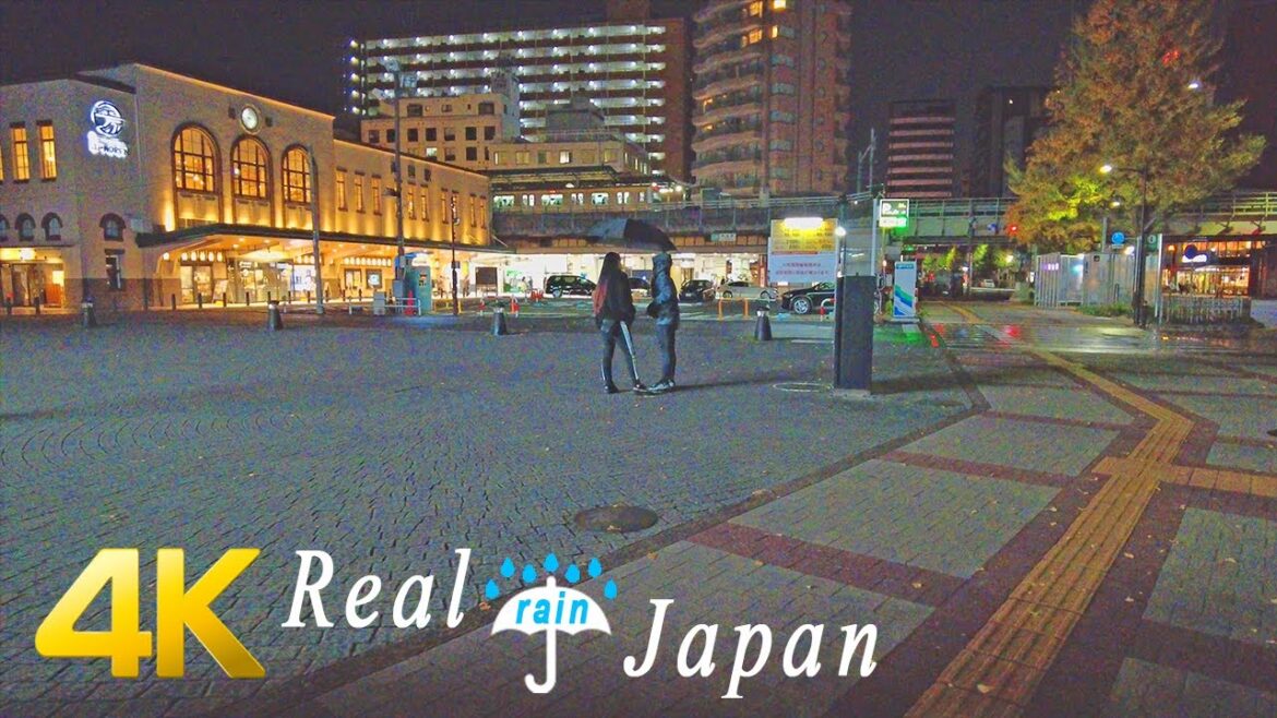 Walking in Light Rain at night in Ryogoku, Tokyo, Japan - Ambience ASMR 4K