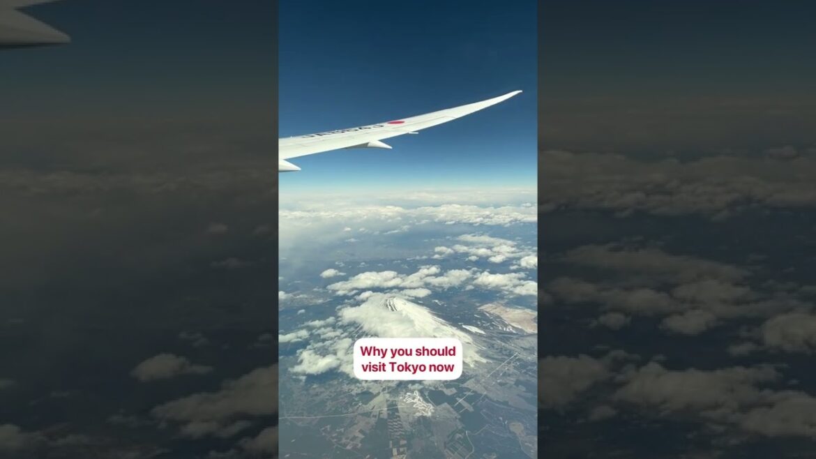 🇯🇵 Why you should visit Tokyo now