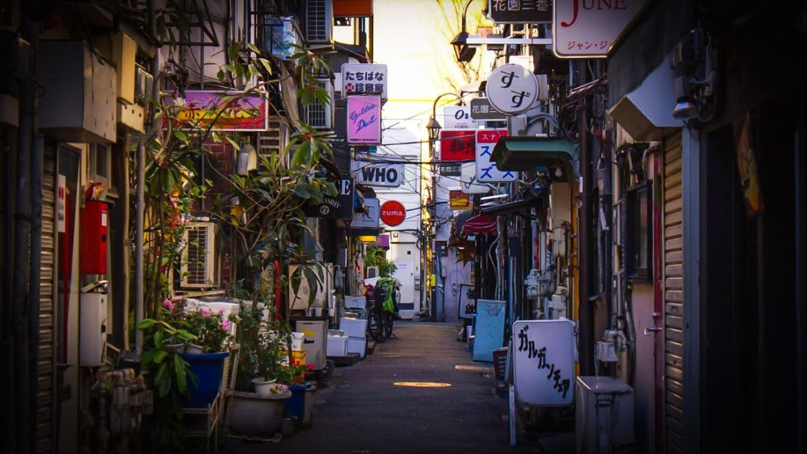 Kabukicho to Golden Gai, Tokyo Japan Walk Tour 4k Kabukicho to Golden Gai, Tokyo Japan Walk Tour 4k