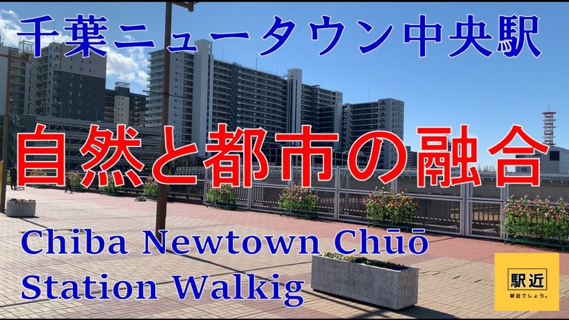 【千葉ニュータウン中央駅】周辺を散策!千葉県印西市中央南一丁目【ChibaNewtownChuoStation Walking in Chiba】2022/2 【千葉ニュータウン中央駅】周辺を散策!千葉県印西市中央南一丁目【ChibaNewtownChuoStation Walking in Chiba】2022/2