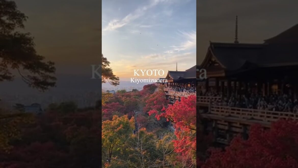 Kyoto Kiyomizudera Autumn 교토 기요미즈데라 가을