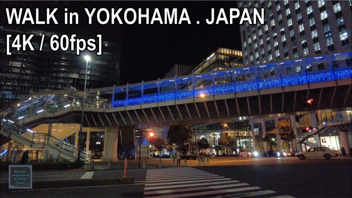 [4K/60fps] 横浜の夜の散歩 [横浜.日本] [環境音ASMR]