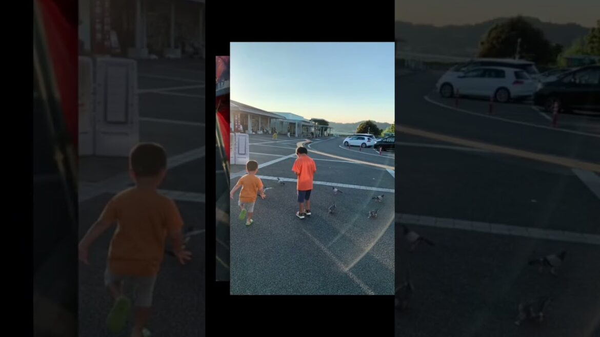 Life recently in Japan! 🇯🇵 #japan #travel #views #travelvlog #livinginjapan #lifeinjapan #love