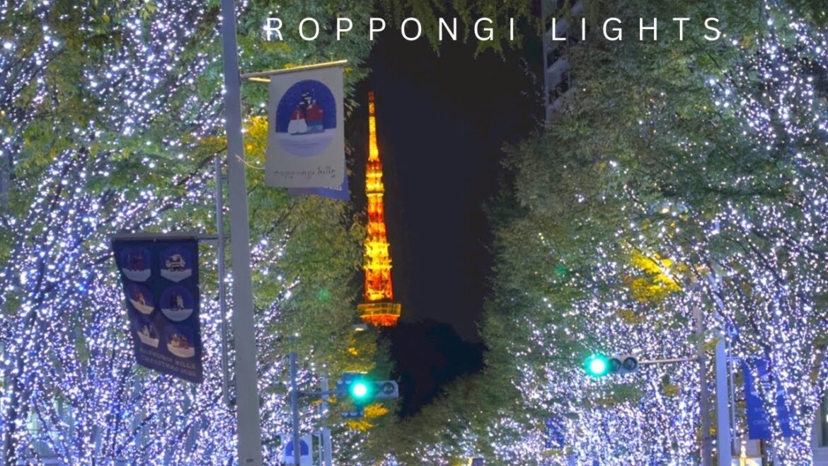 Roppongi Keyakizaka Illumination Tokyo Live
