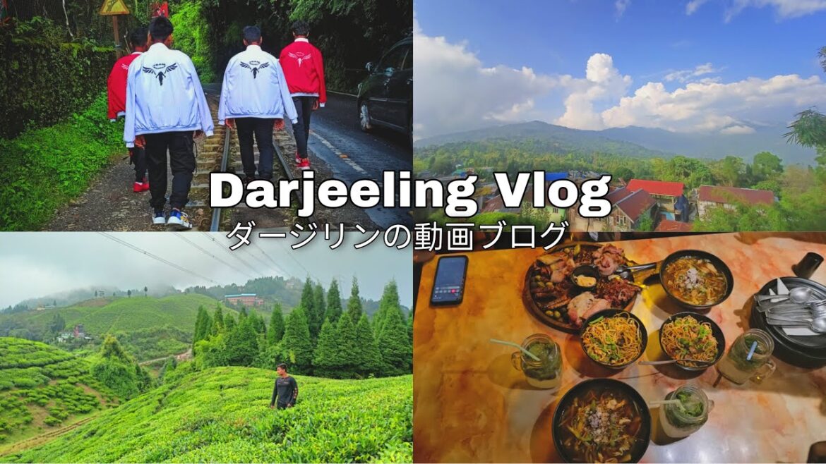 Darjeeling vlog Darjeeling vlog