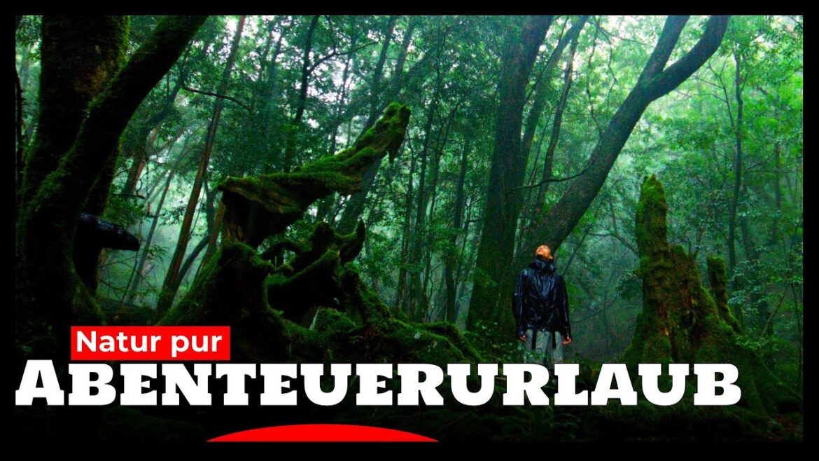 Urwälder, wilde Küsten und einsame Gipfel | Outdoor Japan | Yakushima