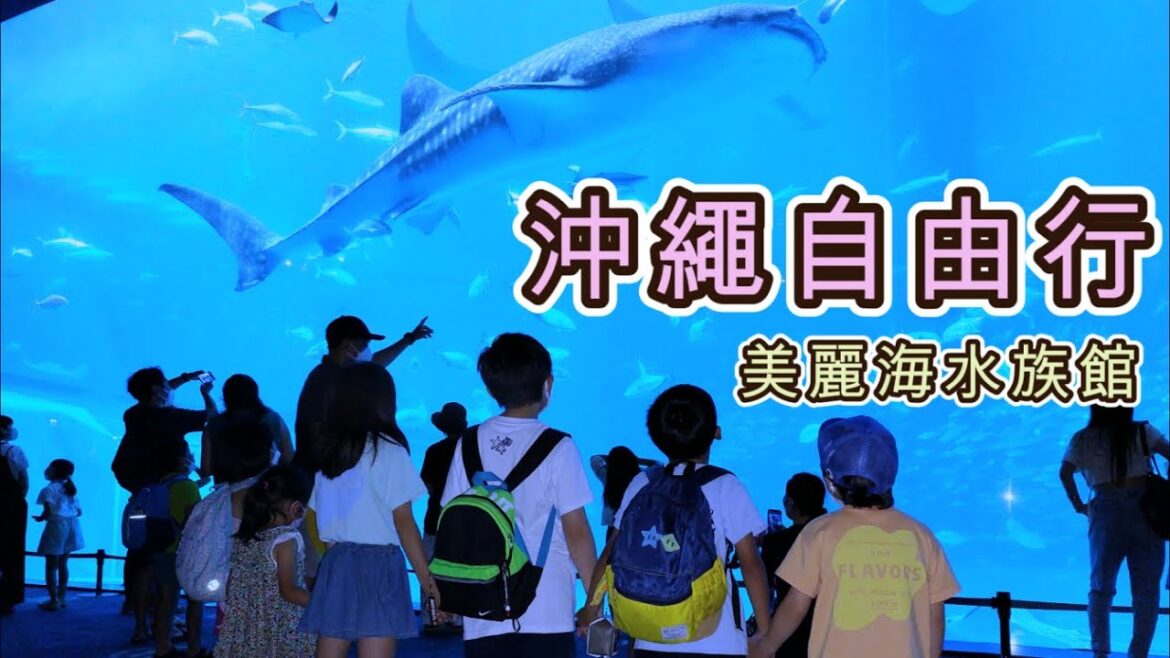 2022 沖繩自由行 沖繩美麗海水族館 觀賞餵飼鯨鯊表演 欣賞各式各樣不同的魚類 輕鬆六天自駕遊 EP9 [日本主夫與兩位港孩] 沖繩自駕遊 日本自由行 日本自駕遊