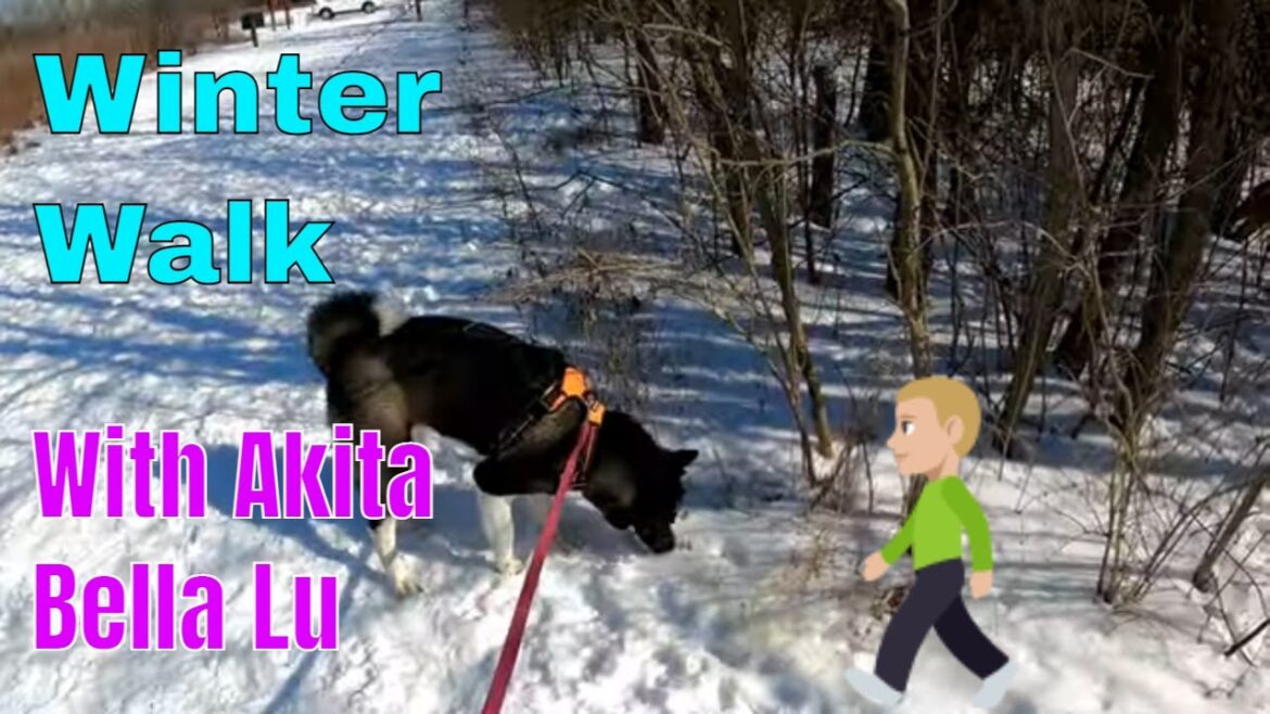 4k Walking In Winter | Ohio Metro Parks | Prairie Oaks | GoPro | Trails | With Bella Lu the Akita