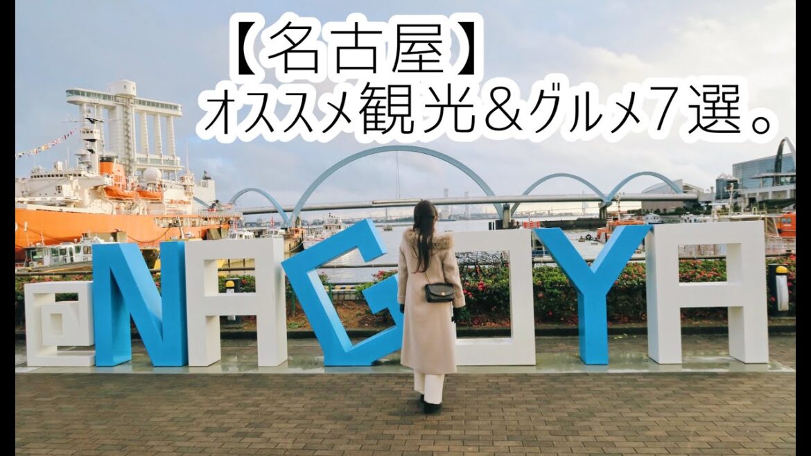 【愛知・名古屋】観光&グルメ7選🇯🇵 名古屋港水族館/おか富士/スカイプロムナード🌃 #vlog #japan