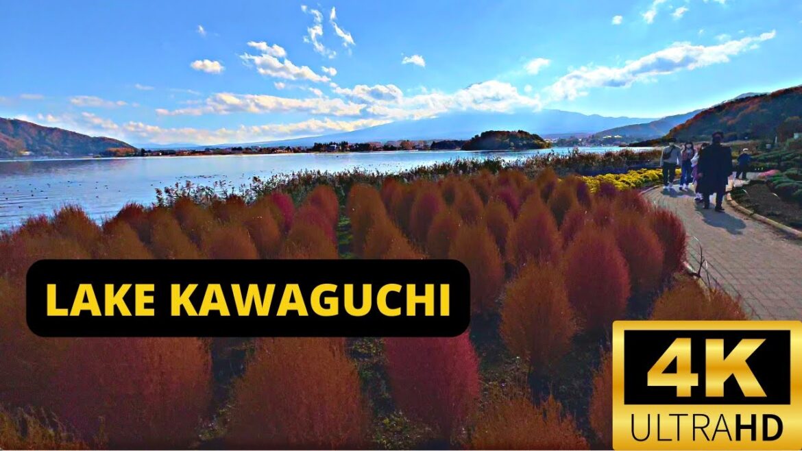LAKE KAWAGUCHI, JAPAN 🇯🇵 [4K] The most picturesque location to see Mt Fuji in Japan