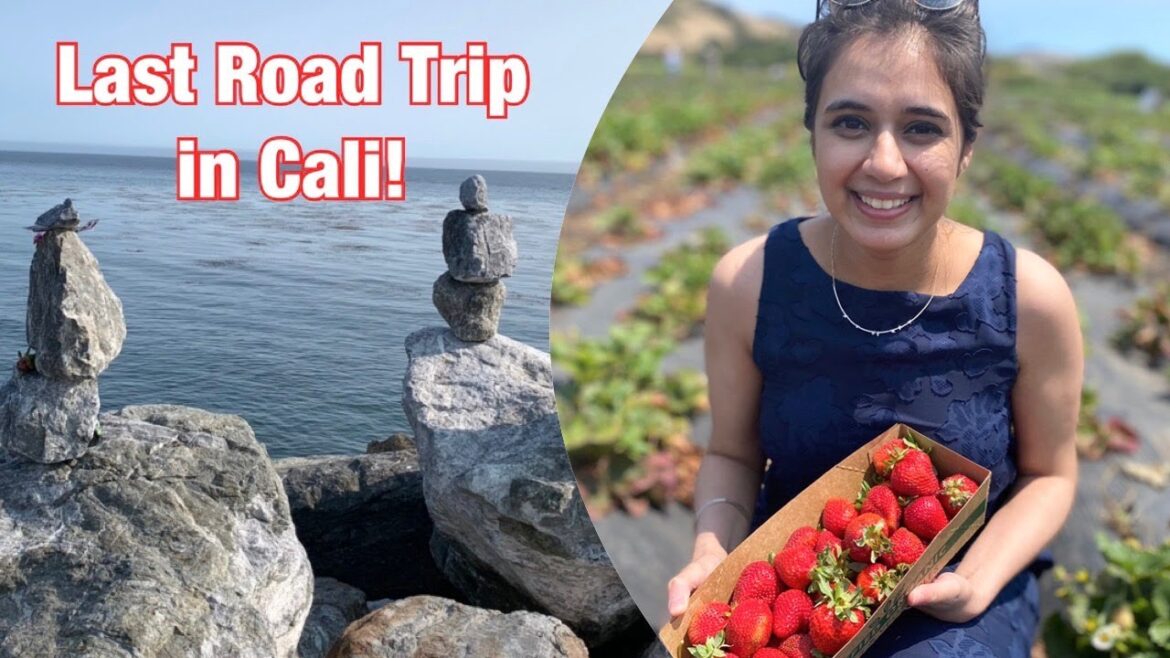 Last Road Trip in California | Pacific Coast Highway 1 | Girl’s Trip San Francisco to Santa Cruz, CA