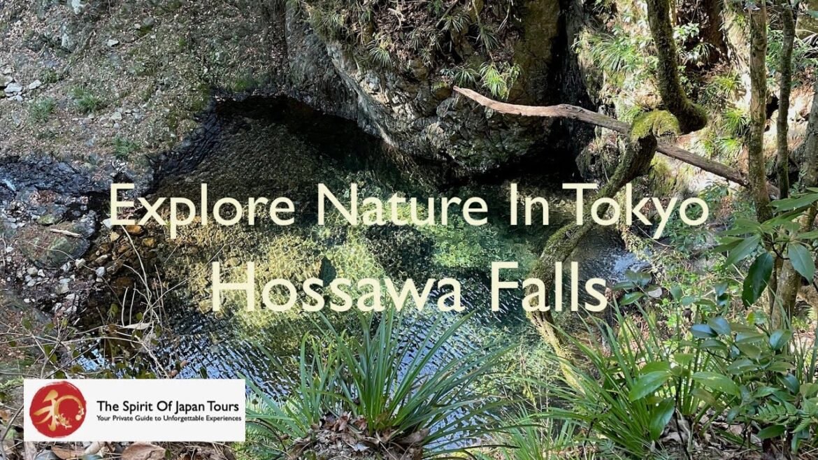 Explore Nature in Tokyo: a 1 minute tour to the Hossawa Falls