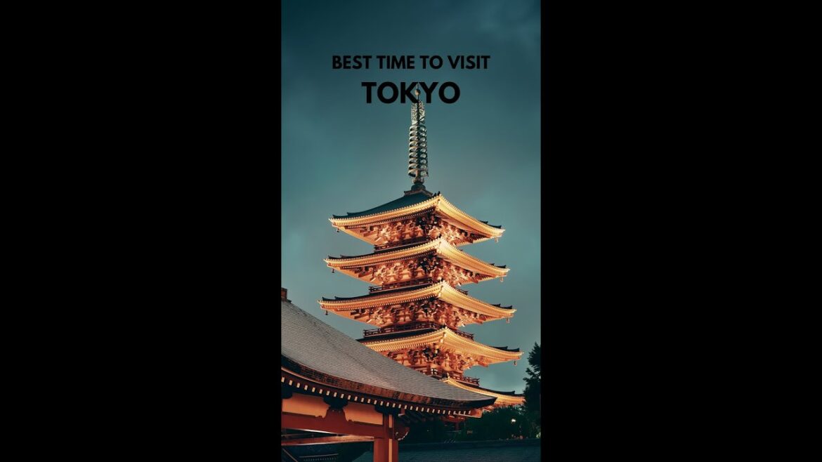 TOKYO: Best Time to Visit #tokyo #japan #shorts #travel