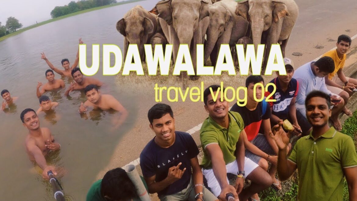 Udawalawa |Sri Lanka |Travel VLOG #002 | යාළුවෝ එක්ක උඩවලවේ