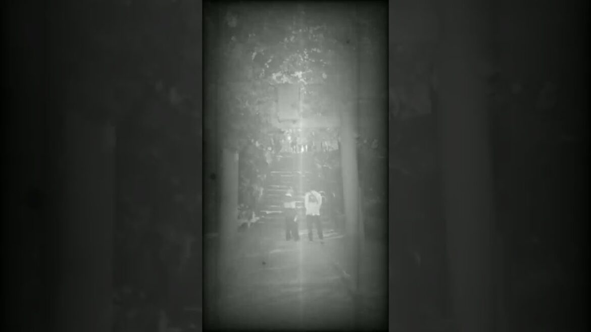 秋の秋月の紅葉2022_How about autumn foliage in Japan? 秋の秋月の紅葉2022_How about autumn foliage in Japan?