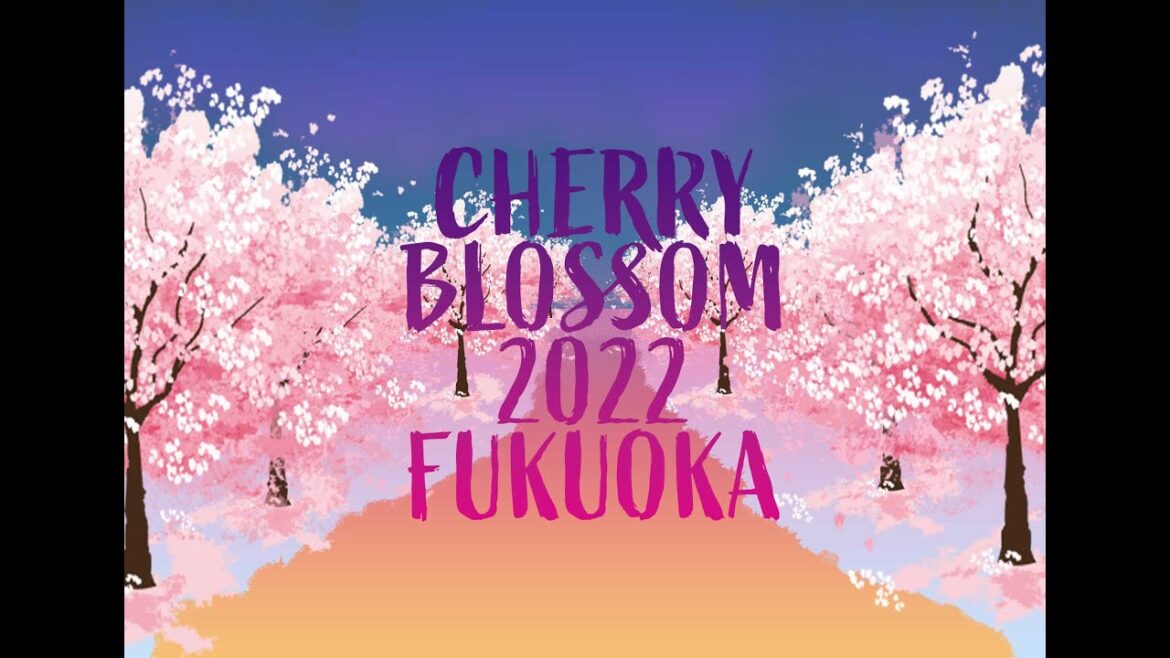 Cherry Blossom 2022 Fukuoka,Japan