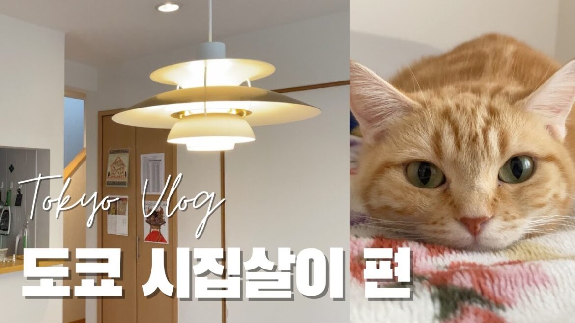 Eng) 도쿄 Vlog : 일본 시집살이 편, 도쿄 2층 가정집 소개