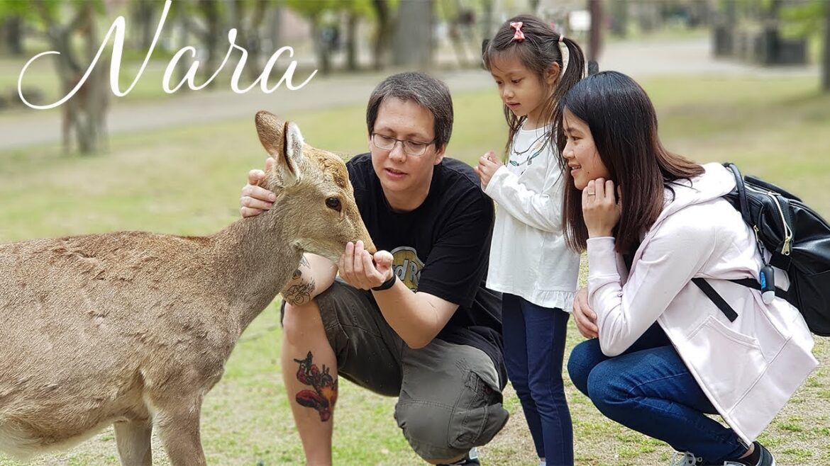 NARA | 2018 π¦ NARA | 2018 π¦