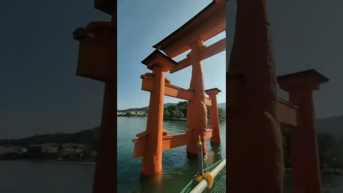 厳島神社　大鳥居大改修70年ぶりにキレイになりました！