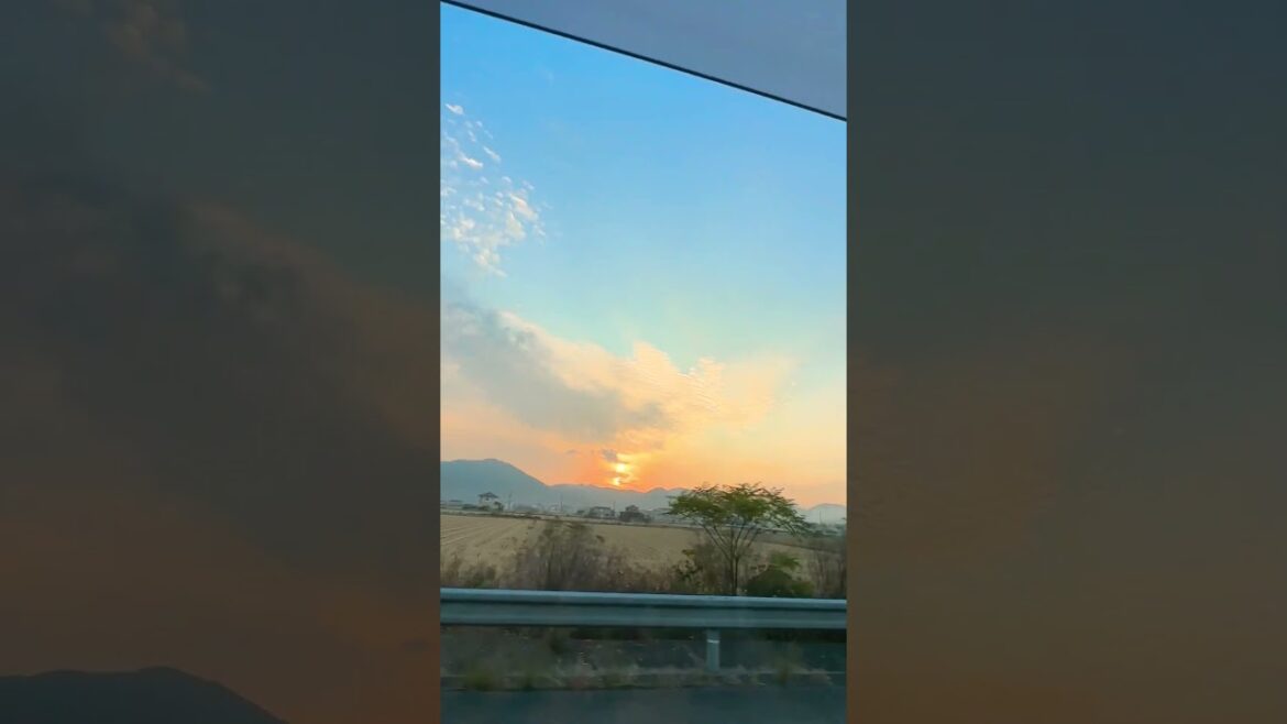 nature is beautiful #shorts #shortsvideos