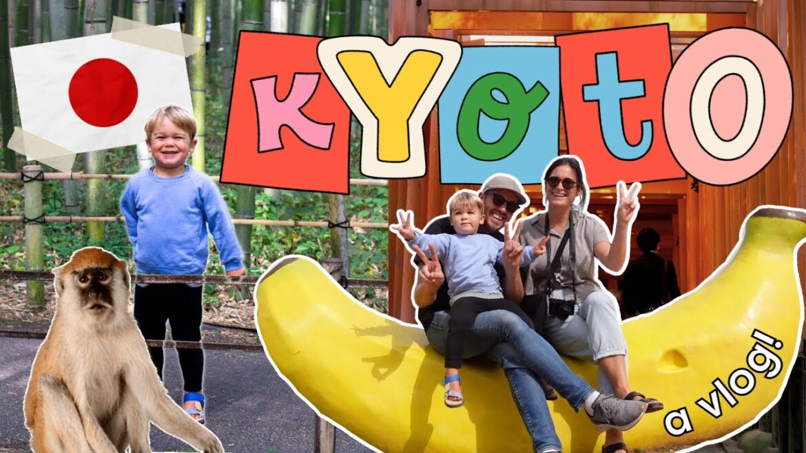 KYOTO (ARASHIYAMA) 🇯🇵 (bamboo, monkeys, torii gates, and the golden pavilion) KYOTO (ARASHIYAMA) 🇯🇵 (bamboo, monkeys, torii gates, and the golden pavilion)
