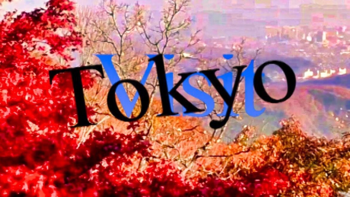 Japan travel 2018: Autumn leaves three favorite spots in Tokyo.